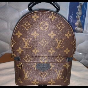 Louis Vuitton Palm Springs Mini Backpack